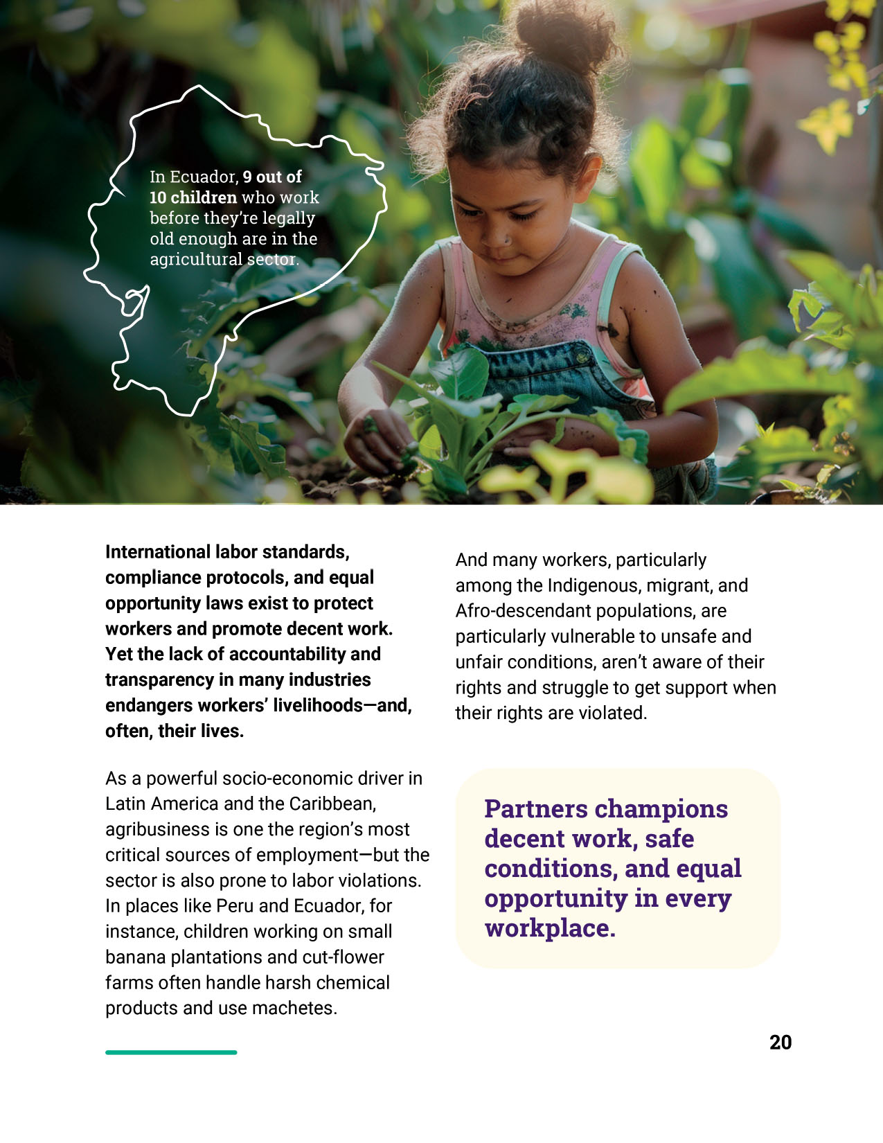 Partners_Case_Statement_Page_23